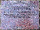 image of grave number 593878